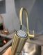 🟥 Кухонный смеситель Franke Eos Neo Pull Down с вытяжным изливом и функцией душа с ламинарным потоком воды (115.0681.244) Champagne Gold (Шампань)